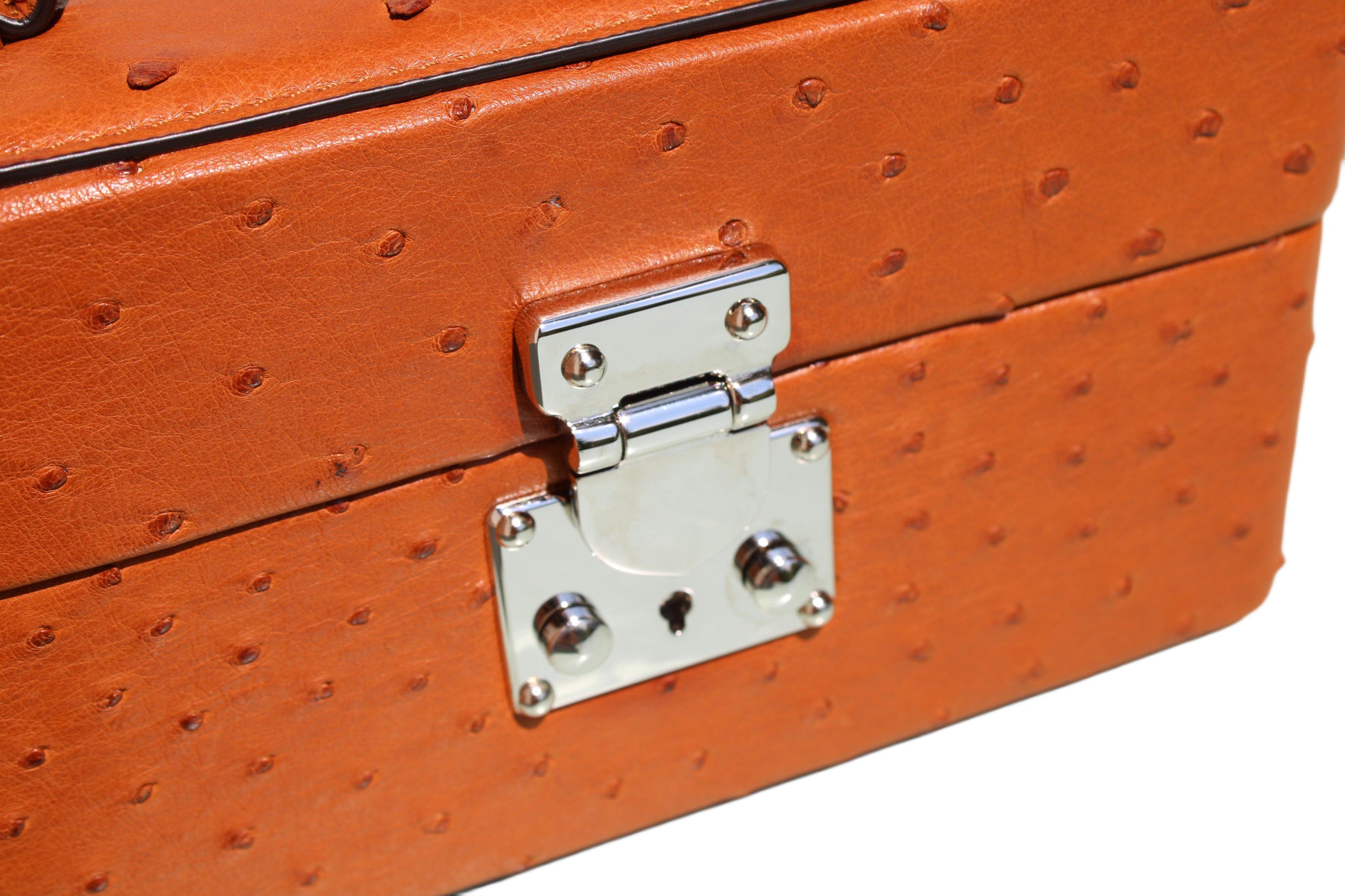 The Mirror Handbag in Ostrich