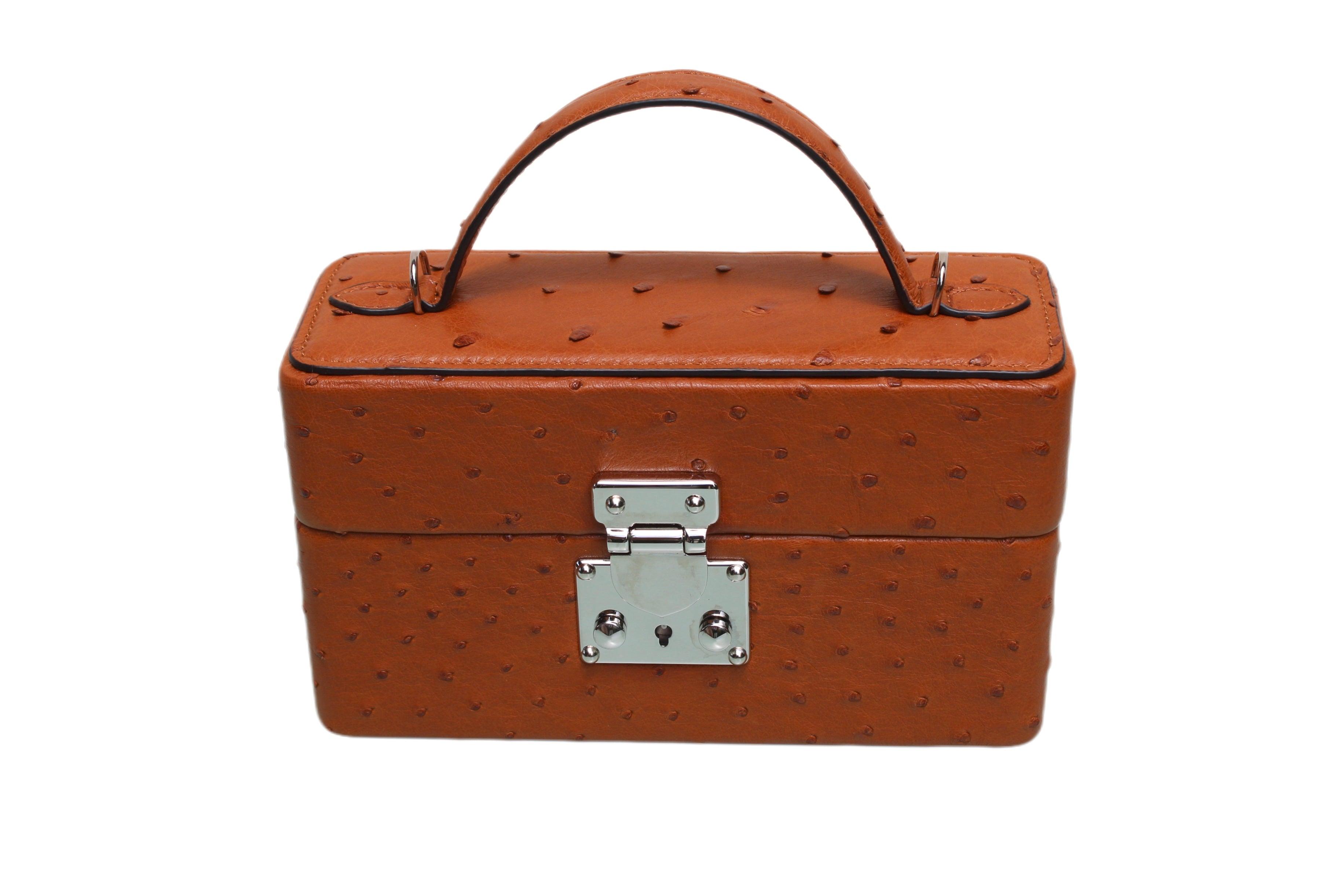 The Mirror Handbag in Ostrich