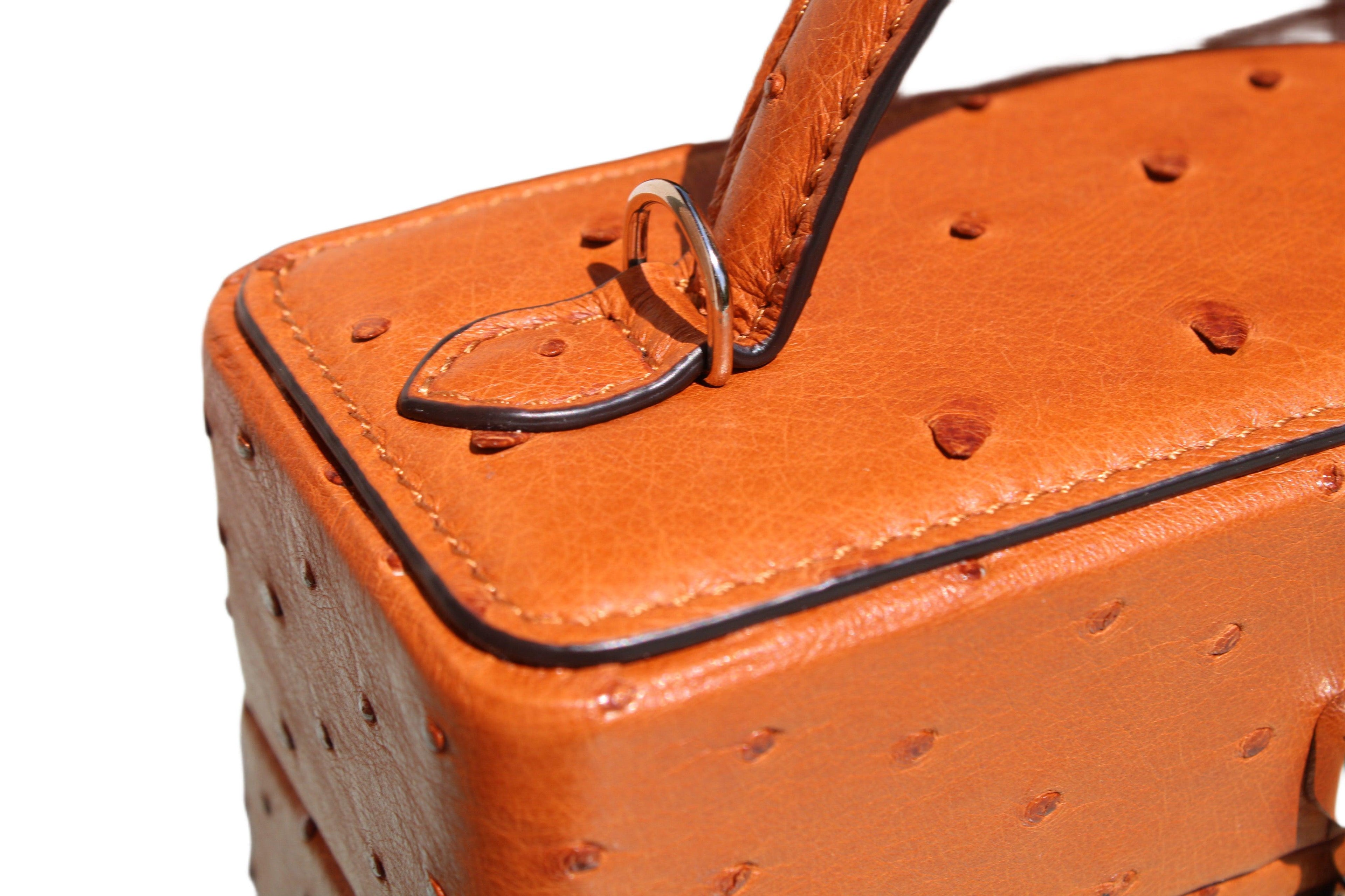 The Mirror Handbag in Ostrich