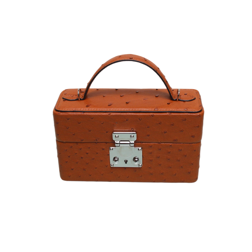 The Mirror Handbag in Ostrich